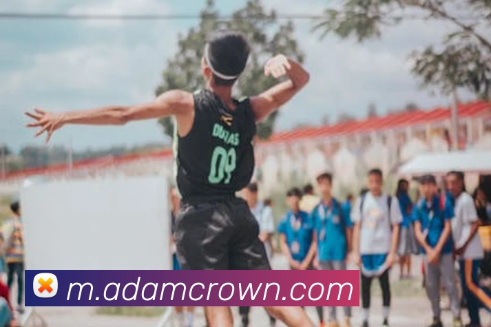 皇冠crown体育平台全站App